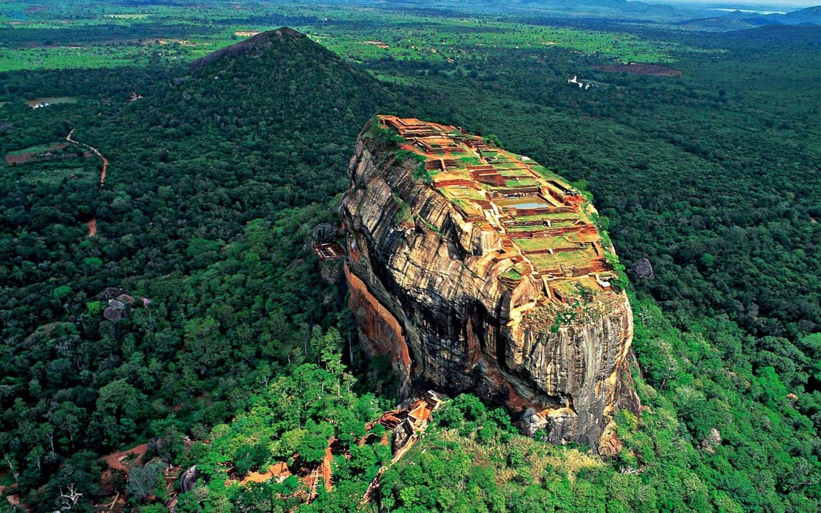 Sigiriya Hike & Minneriya Safari Private Full Day Tour